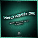 World Wildlife Day