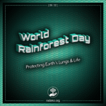 World Rainforest Day