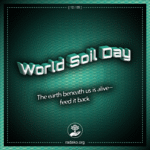 World Soil Day